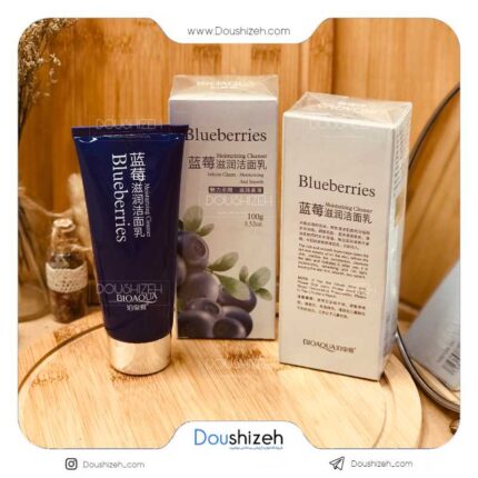 فوم شستشو صورت بلوبری بیوآکوا BIOAQUA