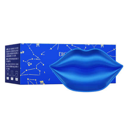 ماسک لب کاسه ای بلوبری بیوآکوا BIOAQUA